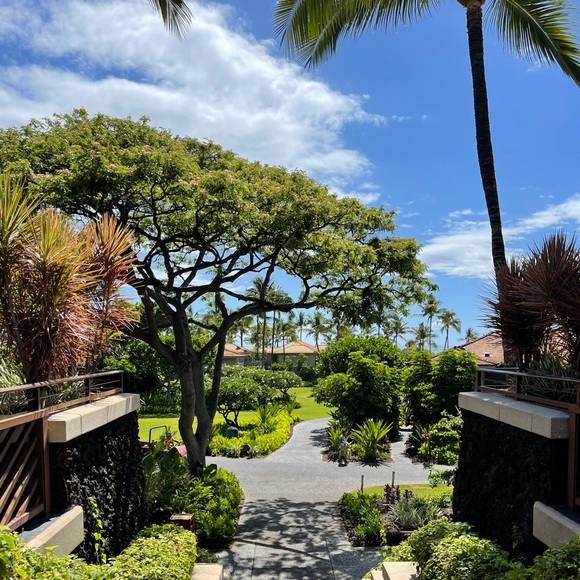 Meet your Posher, Miguel - Picture 1 of 1